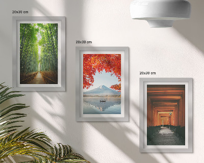 Moderne billedsæt Bambusskov, Mount Fuji, torii-sti, landskaber i Japan