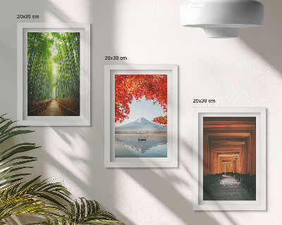 Moderne billedsæt Bambusskov, Mount Fuji, torii-sti, landskaber i Japan