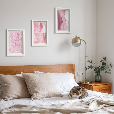 Pakke med billeder og rammer Geometriske mønstre med lyserøde blomster og pæoner