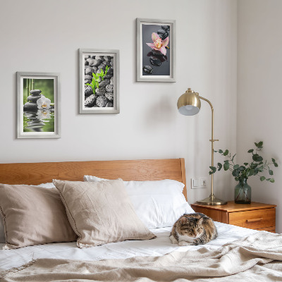 Moderne billedsæt En fredelig zen-komposition af sten og blomster på vand