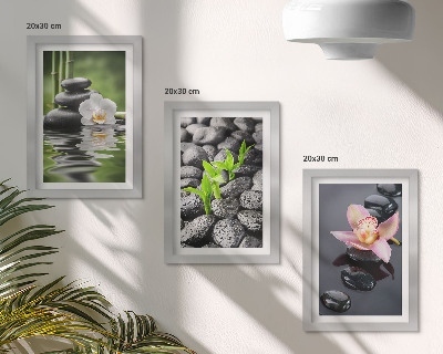 Moderne billedsæt En fredelig zen-komposition af sten og blomster på vand