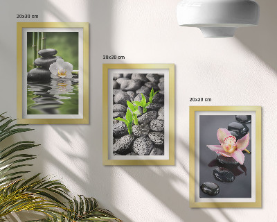 Moderne billedsæt En fredelig zen-komposition af sten og blomster på vand