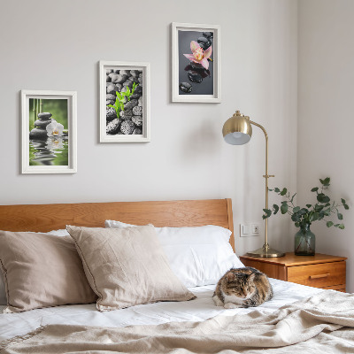 Moderne billedsæt En fredelig zen-komposition af sten og blomster på vand