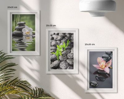 Moderne billedsæt En fredelig zen-komposition af sten og blomster på vand