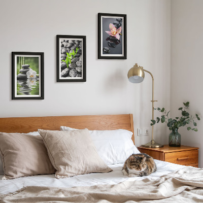 Moderne billedsæt En fredelig zen-komposition af sten og blomster på vand