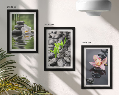 Moderne billedsæt En fredelig zen-komposition af sten og blomster på vand