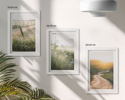 Moderne billedsæt Landskab med eng, vej og solnedgang