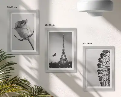 Billeder med rammer med motiv af Eiffeltårnet og pariserhjul i monokrom