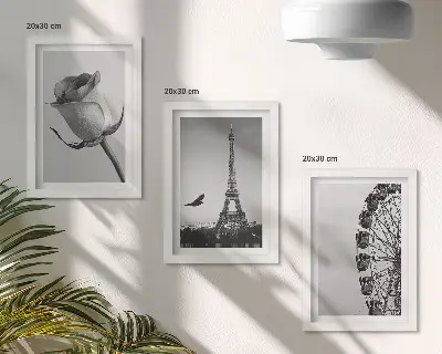 Billeder med rammer med motiv af Eiffeltårnet og pariserhjul i monokrom
