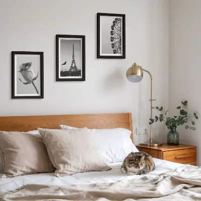 Billeder med rammer med motiv af Eiffeltårnet og pariserhjul i monokrom