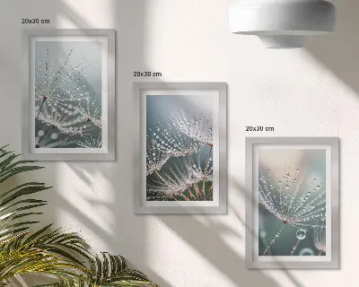 Moderne billedsæt med motiv af vanddråber på mælkebøttefrø