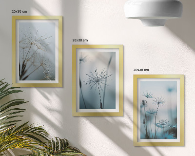 Billedvæg Fine mælkebøtter med vanddråber