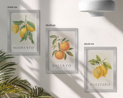 Pakke med billeder og rammer Citroner og appelsiner fra Italiens Amalfikyst