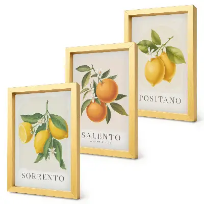 Billeder og rammer med motiver af citroner og appelsiner fra Italiens Amalfikyst pakke med motiver fra Italiens Amalfikyst