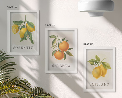 Pakke med billeder og rammer Citroner og appelsiner fra Italiens Amalfikyst