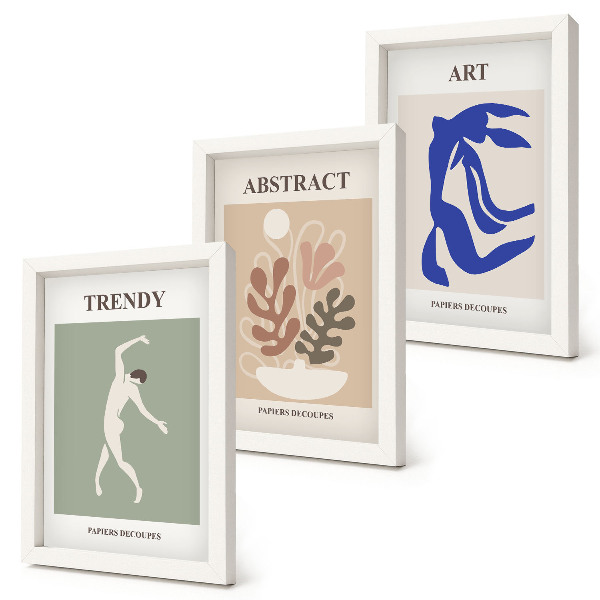 Moderne billedsæt Stilfulde figur- og planteplakater af Henri Matisse