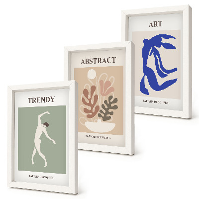 Moderne billedsæt Stilfulde figur- og planteplakater af Henri Matisse