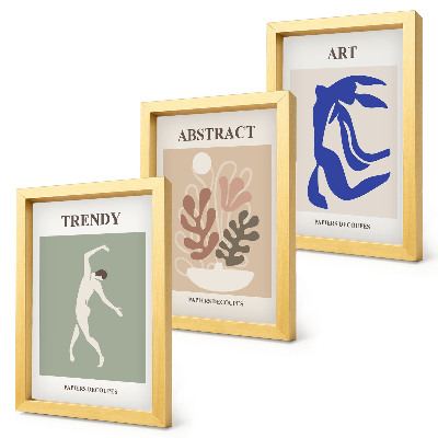Moderne billedsæt Stilfulde figur- og planteplakater af Henri Matisse