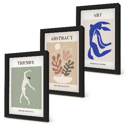 Moderne billedsæt Stilfulde figur- og planteplakater af Henri Matisse