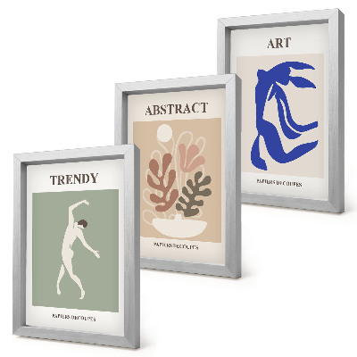 Moderne billedsæt Stilfulde figur- og planteplakater af Henri Matisse