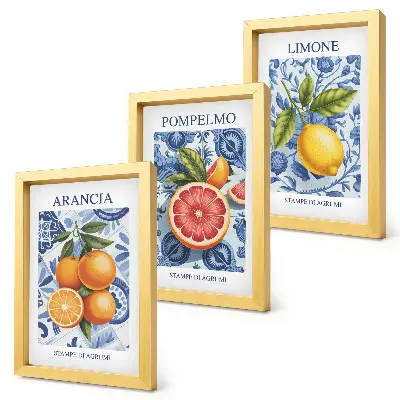 Moderne billedsæt med vintage illustrationer af citrusfrugter
