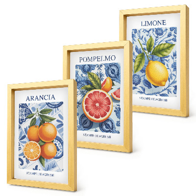Moderne billedsæt Vintage illustrationer af citrusfrugter