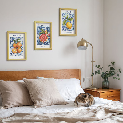Moderne billedsæt Vintage illustrationer af citrusfrugter