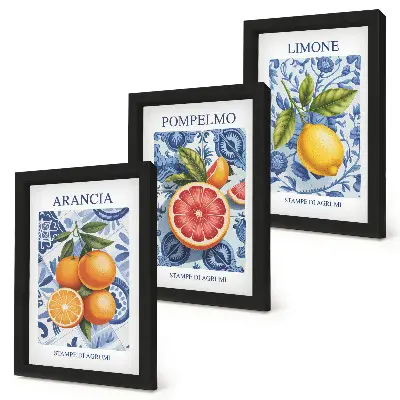 Moderne billedsæt med vintage illustrationer af citrusfrugter