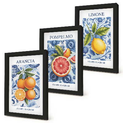 Moderne billedsæt Vintage illustrationer af citrusfrugter