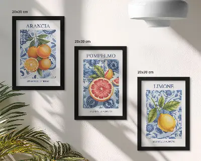 Moderne billedsæt med vintage illustrationer af citrusfrugter