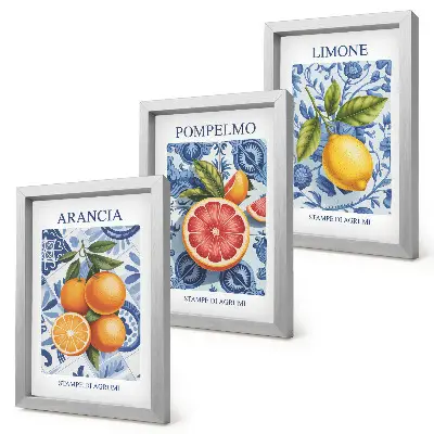 Moderne billedsæt med vintage illustrationer af citrusfrugter