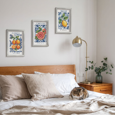 Pakke med billeder og rammer Modeplakater med italienske citrusfrugter