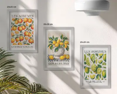 Moderne billedsæt med friske citrusfrugter i farverige nuancer