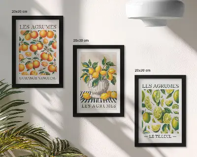 Moderne billedsæt med friske citrusfrugter i farverige nuancer