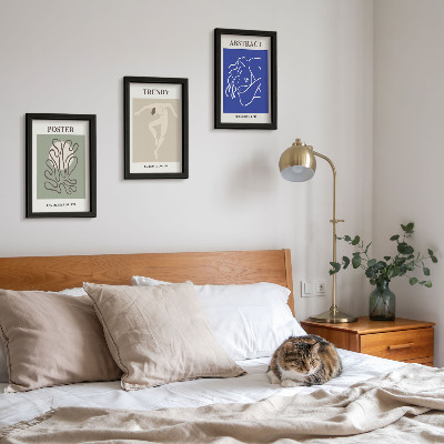 Pakke med billeder og rammer Henri Matisse pastelillustrationer