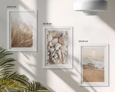 Moderne billedsæt med strandmotiver af skaller og havbølger