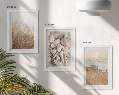 Moderne billedsæt Strandmotiver med skaller og havbølger