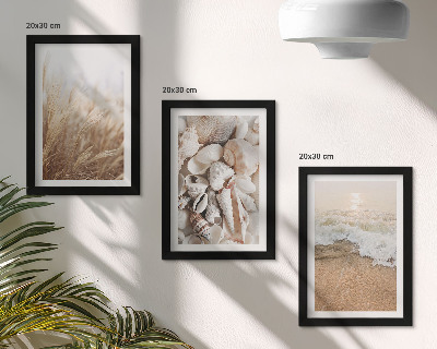 Moderne billedsæt Strandmotiver med skaller og havbølger