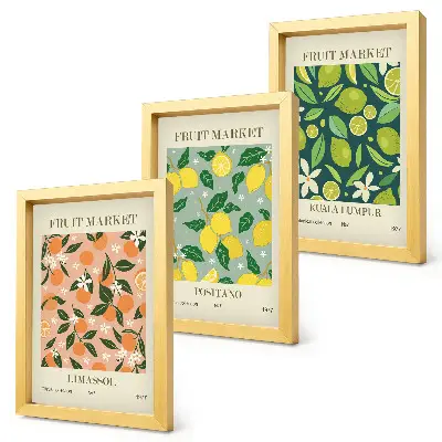 Moderne billedsæt med frugtmønstre af citrusfrugter og vintageblomster