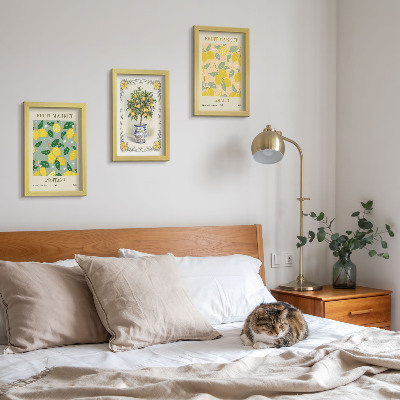 Pakke med billeder og rammer Italienske plakater med citrustræer og frugter