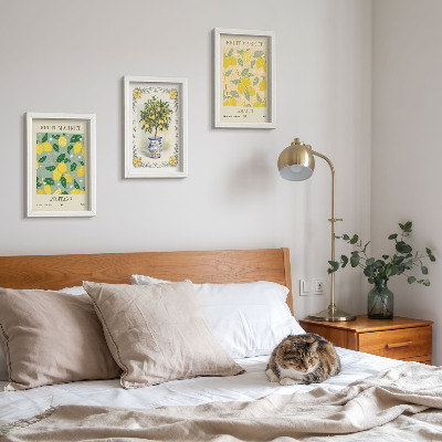 Pakke med billeder og rammer Italienske plakater med citrustræer og frugter