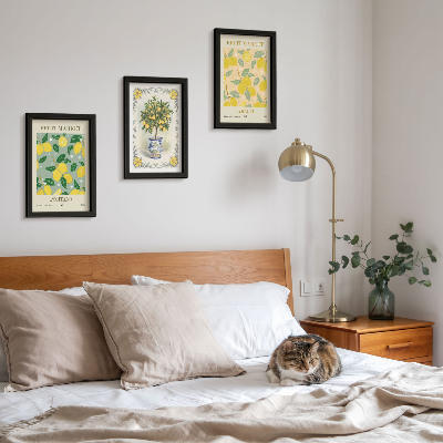 Pakke med billeder og rammer Italienske plakater med citrustræer og frugter