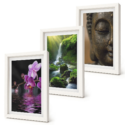 Pakke med billeder og rammer Blomster i vandfaldet med grønne klipper Buddha