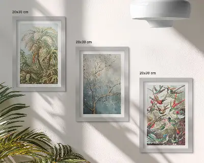 Moderne billedsæt med motiv af tropiske planter og farverige fugle i naturen