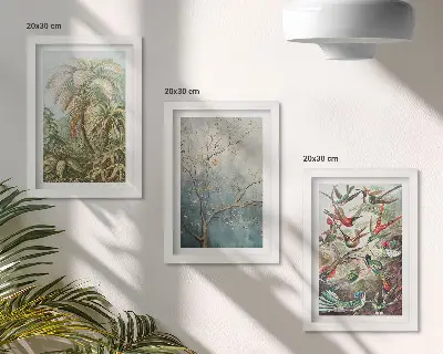Moderne billedsæt med motiv af tropiske planter og farverige fugle i naturen