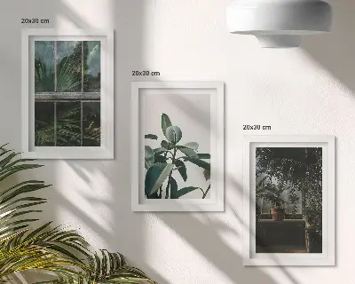 Billedvæg med rammer grønne blade ved vinduet og planter