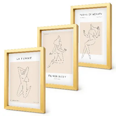 Pakke med billeder og rammer lineære silhuetter af kvinder i minimalistisk stil