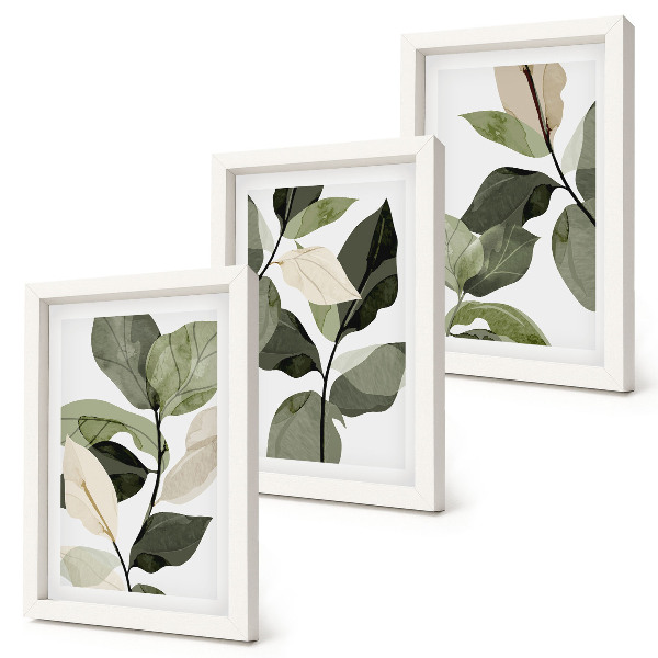 Pakke med billeder og rammer Malede, sarte boho-planteblade