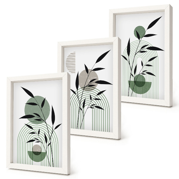 Pakke med billeder og rammer Abstrakte plantekompositioner, boho-stil