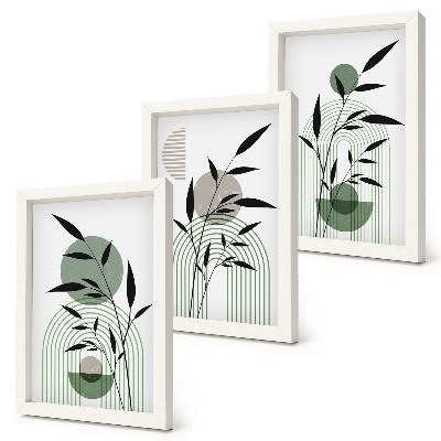 Pakke med billeder og rammer Abstrakte plantekompositioner, boho-stil